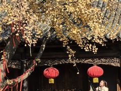 -台儿庄古城