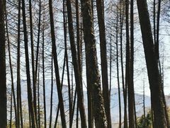 -硗碛藏寨·神木垒景区