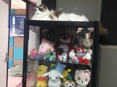 -零纪元VR体验馆·桌游(黄浦店)