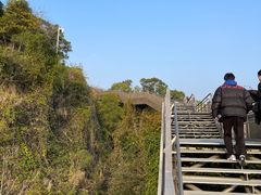 -福道