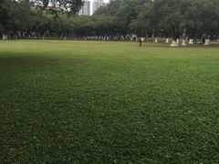 -中山大学学者灵芝(园南路店)