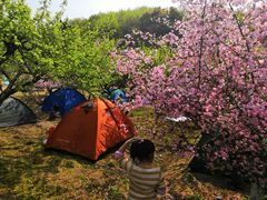 -白马涧龙池景区