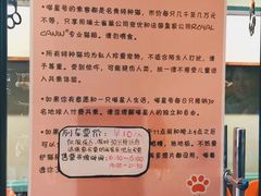 -猫咪博物馆(顶澳仔猫街店)