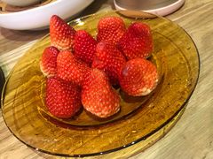 -柴务处·柴犬主题狗咖