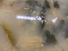 -华南师范大学石牌校区陶园