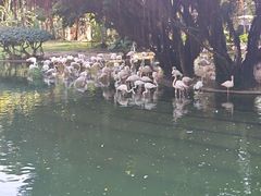 -九龙公园