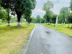 -九科绿洲