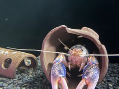 -重庆欢乐海底世界