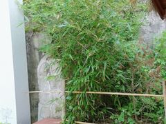 -终南山南五台景区