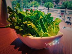 新鲜生菜-山之屋炭火烧肉·生啤畅饮(大朗万科中央公园店)