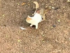 -昆明动物园