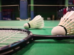 -京体华人天下羽毛球馆