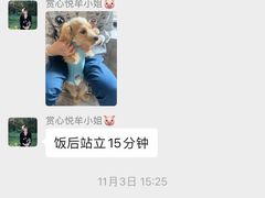 -北京派仕佳德动物医院·超导核磁·CT·神经科·骨科·内外科·急重症管理中心