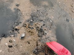 -北海金海湾红树林生态旅游区