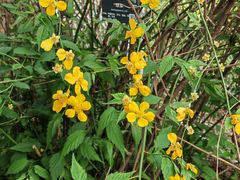 -国家植物园南园