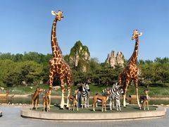 -北京野生动物园