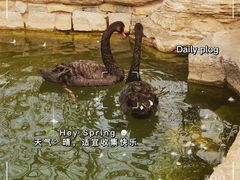 -三里河公园