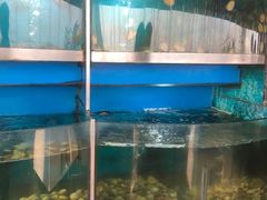 水产区-云顶旋转自助景观餐厅