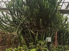 -陆地游轮吉林神农温泉