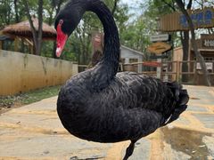 -南戴河国际娱乐中心