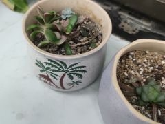 -安肯心理咨询(长宁旗舰店)