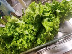 -北家姓自转小火锅(交通巷店)