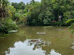 -中国科学院西双版纳热带植物园
