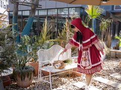 -合肥滨湖国家森林公园