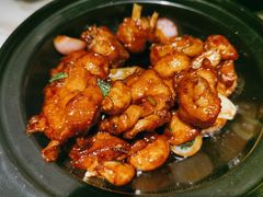 -大树餐厅(益田假日店)