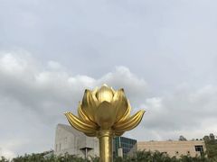 -金莲花广场
