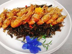 -外滩1288花园丽舍