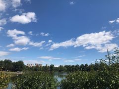 -永定河休闲森林公园