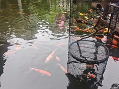 -顺德渔村·岭南一号