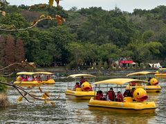 -星湖旅游景区七星岩