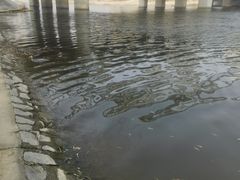 -沙澧河风景区