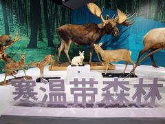 -中国湿地博物馆
