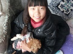 -菲丽丝宠物医院·24小时·猫科中心·免疫点(淮海分院)