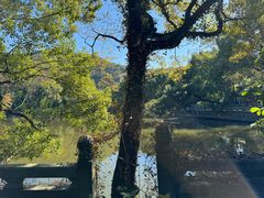-阿育王寺