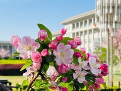 -天津万象城
