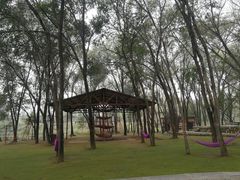 -东方巨龟苑景区