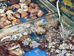 -粤盛海鲜平价店(洛溪食街店)