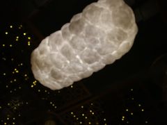 -蜀滋香鲜鱼火锅(黄金路店)