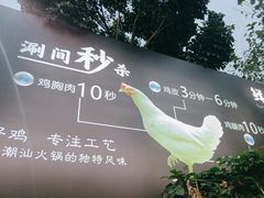 -创新土鸡火锅