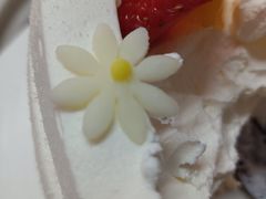 -美食乐动物奶油生日蛋糕(让胡路店)