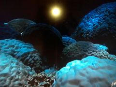 -海口绿发希尔顿酒店-田园汇自助餐·三文鱼·海鲜