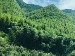 -莫干山风景区