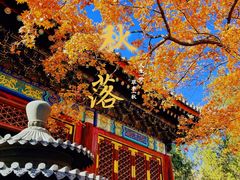 -香山公园