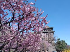-北京明城墙遗址公园