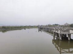 -哈素海