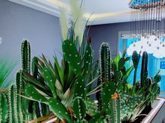 -恒盛居回族饭店